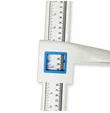 scale